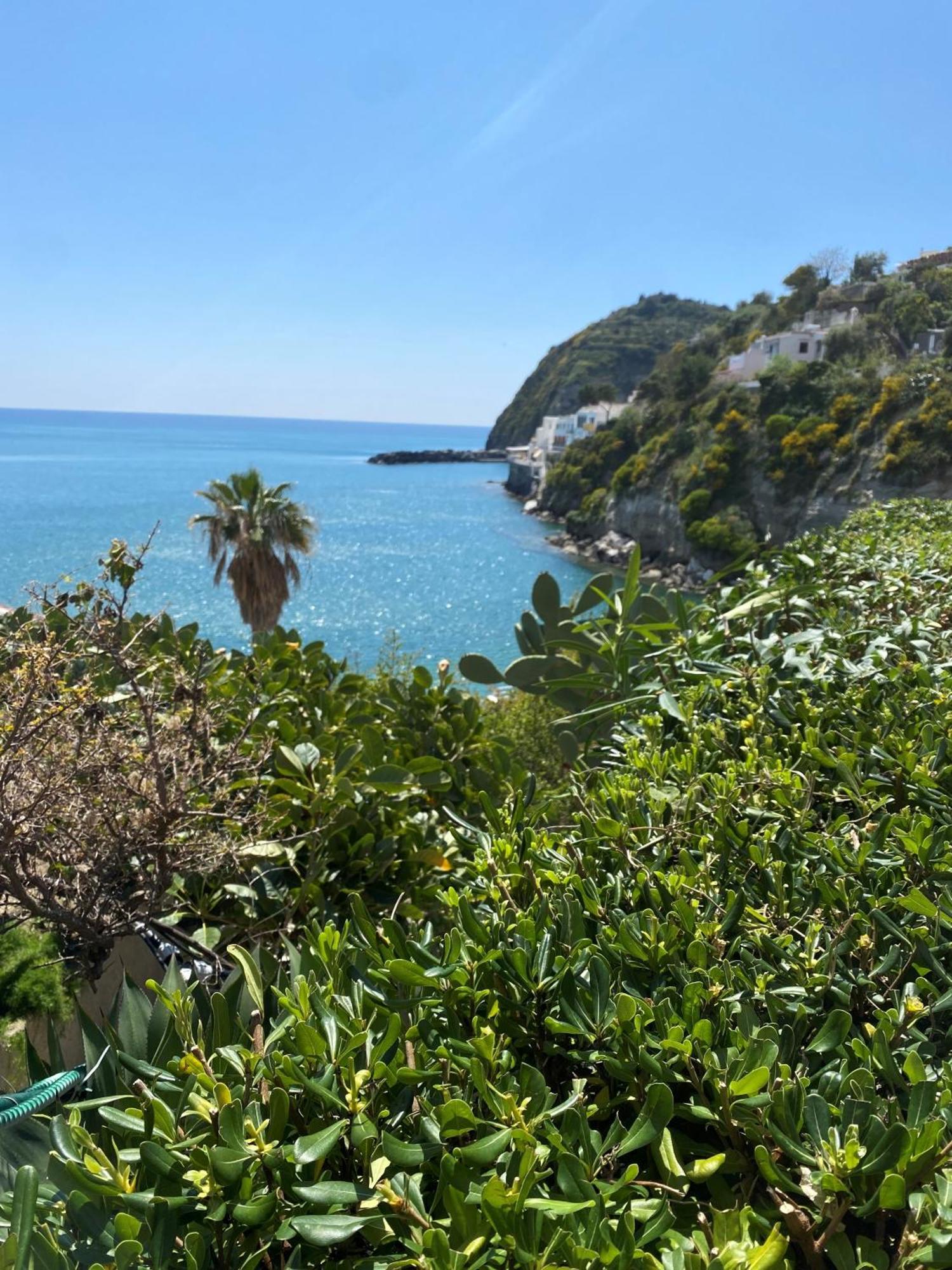 Hotel Casa Rosa Sea & Spa Sant'Angelo  Экстерьер фото